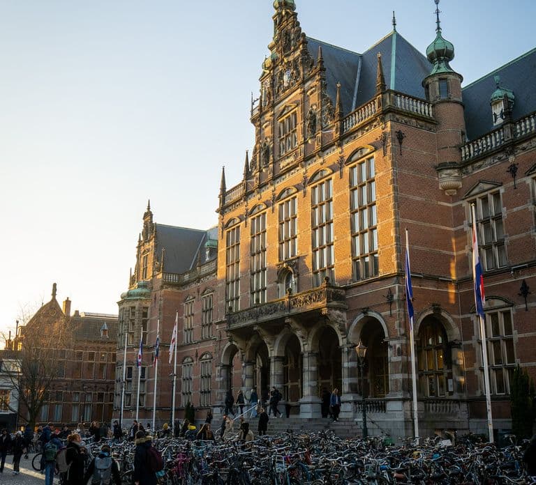 Groningen: Tour a pé com guia local