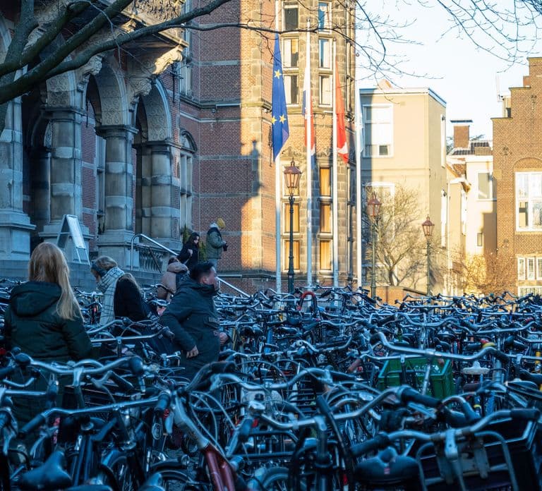Groningen: Tour a piedi con guida locale
