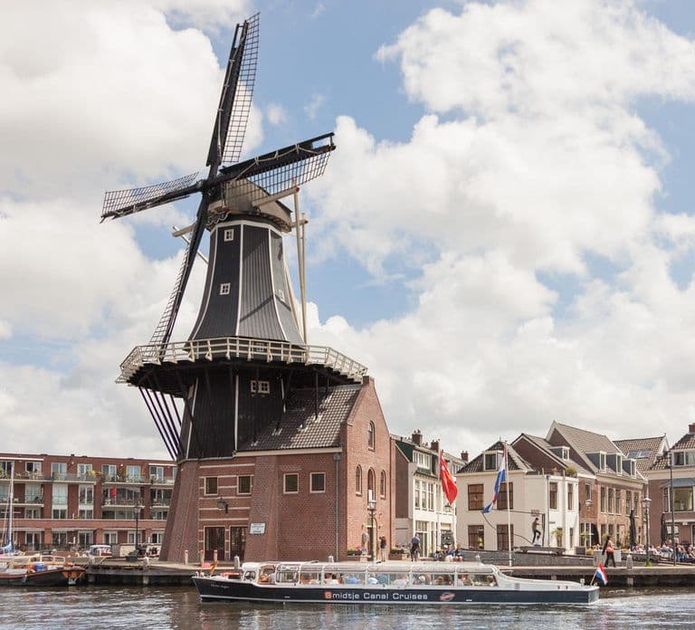 Haarlem: Crociera con degustazione di formaggi e vini locali
