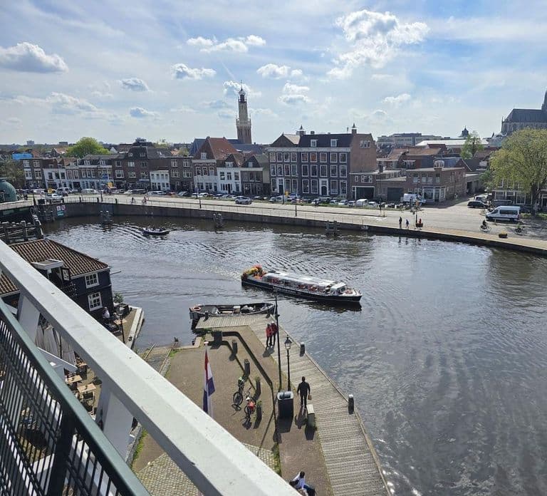 Haarlem: Zwiedzanie wiatraka 'De Adriaan' z przewodnikiem