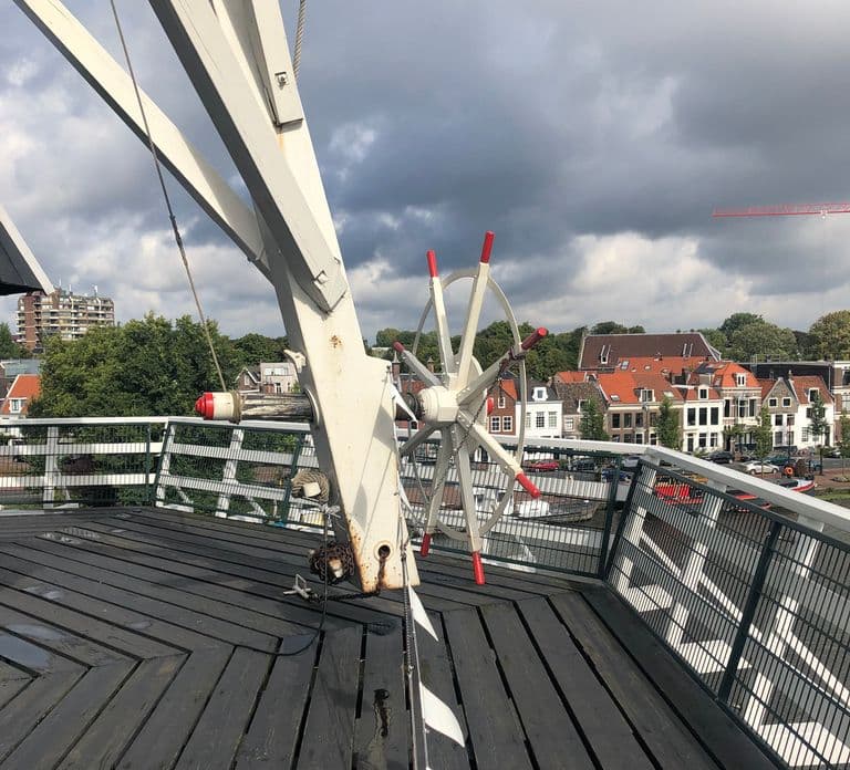 Haarlem: Windmill 'De Adriaan' Guided Tour