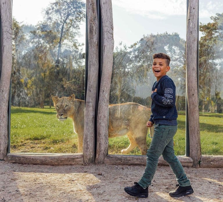 Hilvarenbeek: Bilet wstępu do Safaripark Beekse Bergen