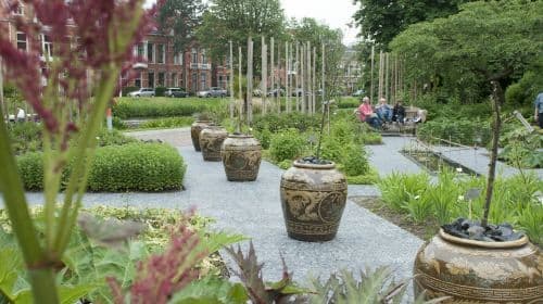 Hortus Botanicus Leiden: Skip-the-line ticket voor volwassenen