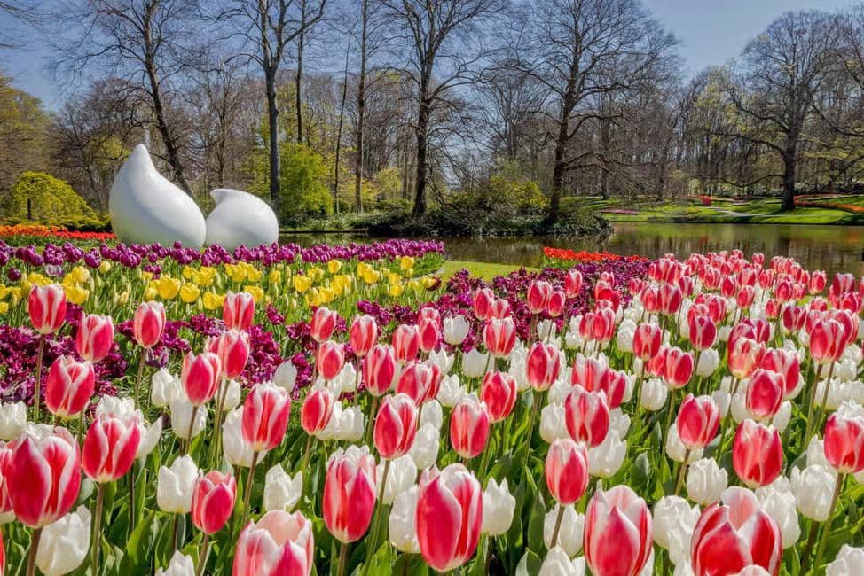 Keukenhof Entry & Shuttlebus with Flexible Return
