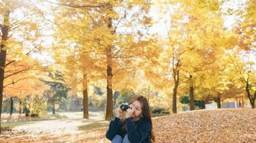 Leiden Trip Moments nos Países Baixos [Motorista-guia mais fotografia de viagem + microfilme de fotografia aérea de casamento + maquiagem e figurinos + personalização de itinerário + tamanho de grupo ilimitado]