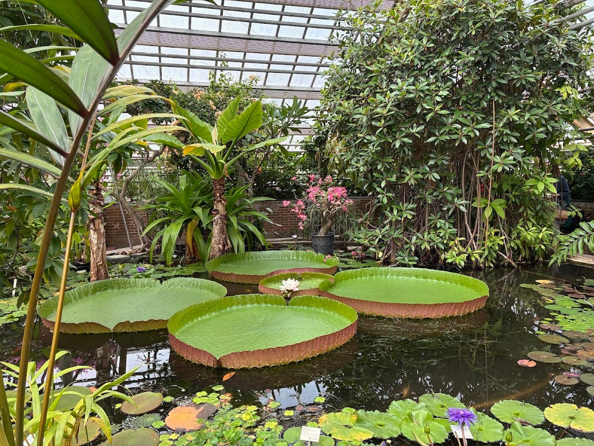 Leiden: Hortus botanicus Leiden Entry Ticket Day Tours
