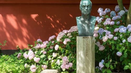 Leiden: Hortus botanicus Leiden Entry Ticket Day Tours