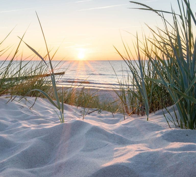 Lisse: Self-Drive Electric Car Dune and Beach Audio Tour