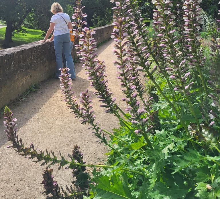 Maastricht Hidden Gems Tour: Ontdek het Onverwachte
