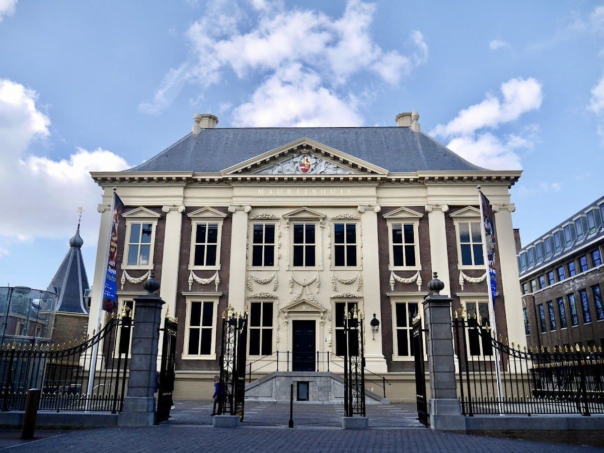 Mauritshuis The Hague Entrance Ticket