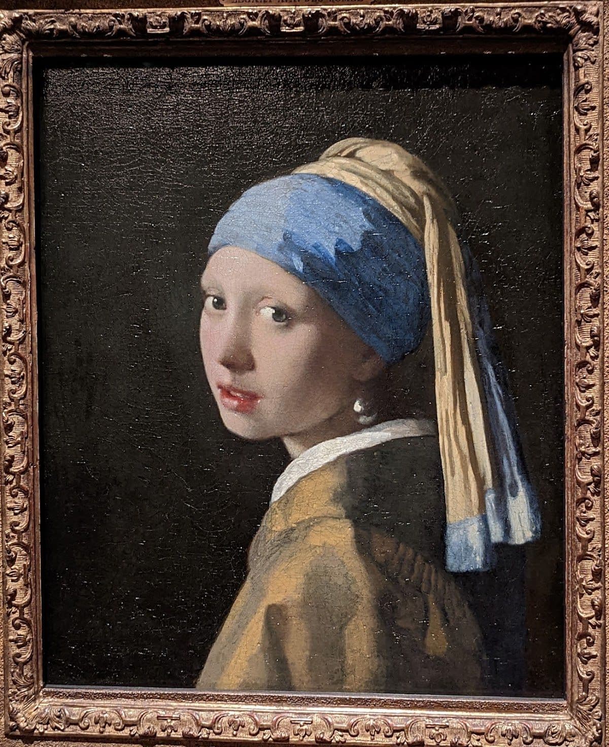 Mauritshuis The Hague Entrance Ticket