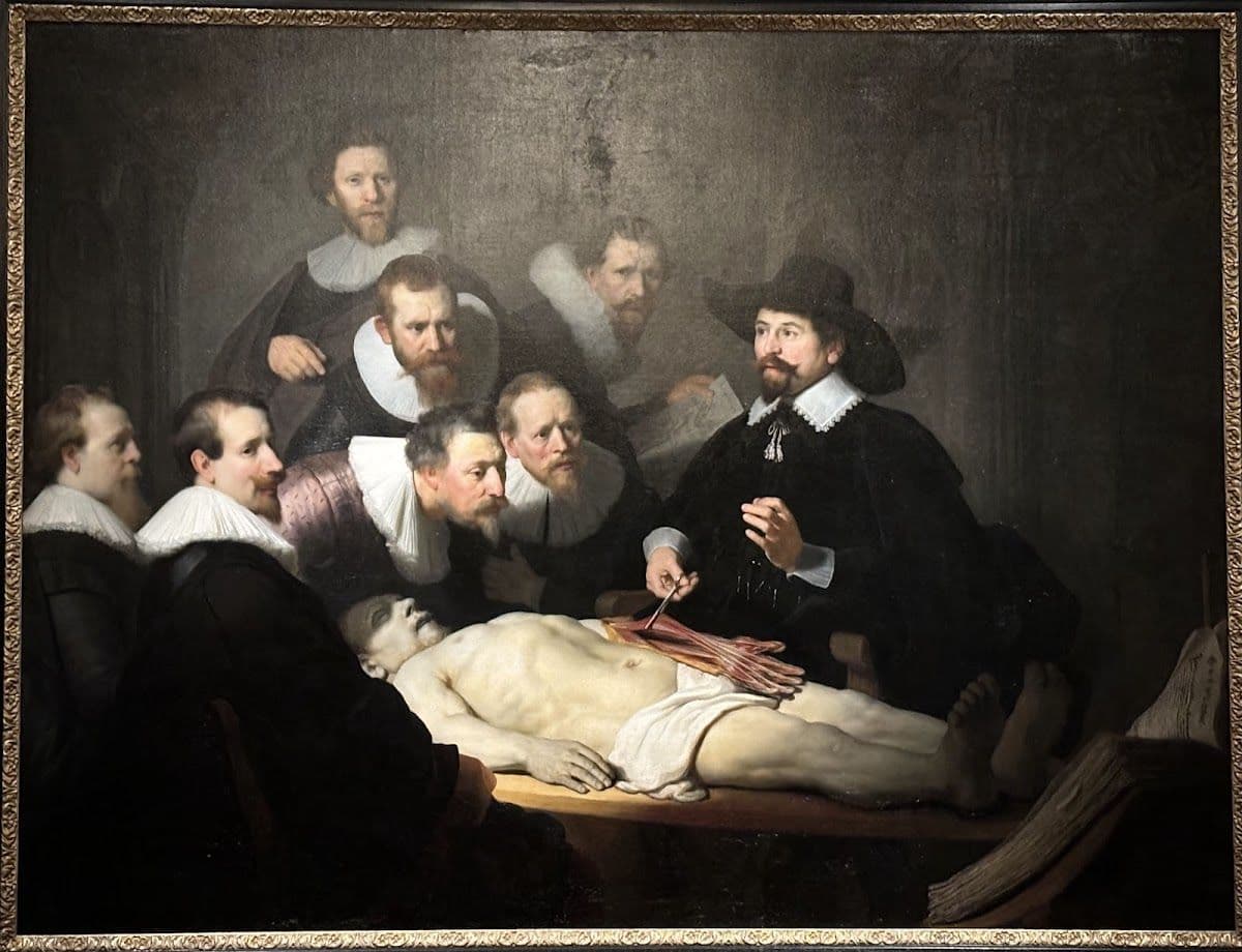 Mauritshuis The Hague Entrance Ticket