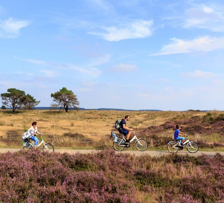 Otterlo: De Hoge Veluwe National Park Entry Ticket
