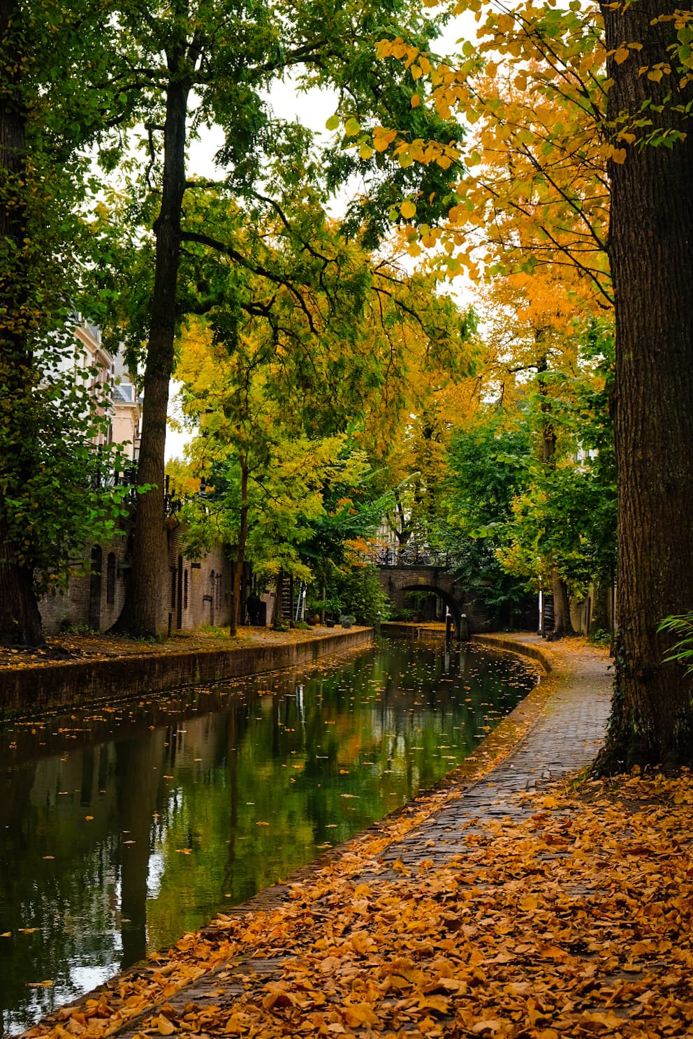 Our Utrecht Walking Tour