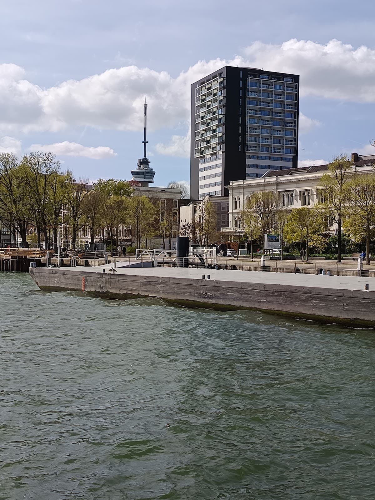 River Cruises Collection: Walking Tour of Rotterdam