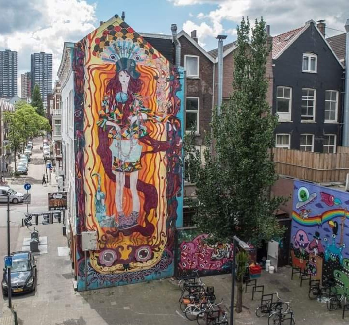 Rotterdam Street Art tour: Including specialised guide