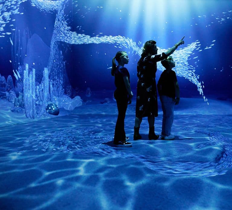 Rotterdam: "Remastered" Digital Art Audiovisual Experience