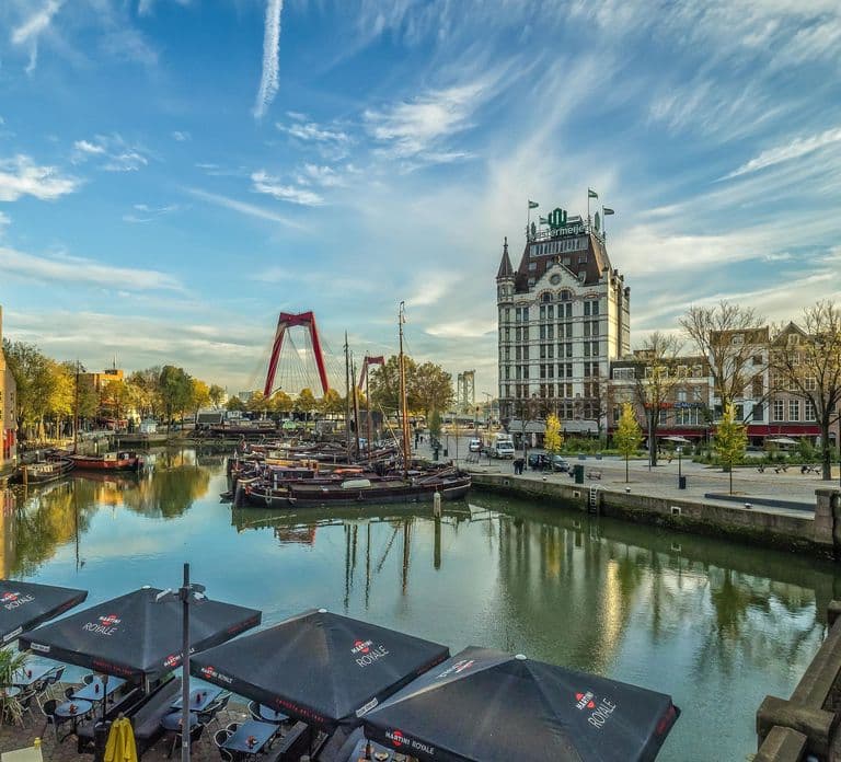 Rotterdam: Excursão a pé guiada de 2 horas