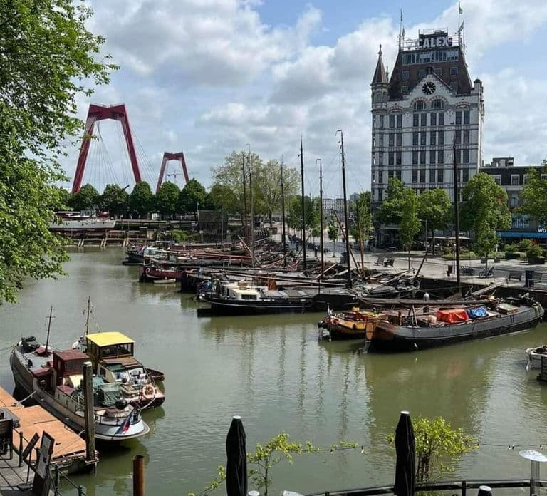 Rotterdam: Private Tour with Local Guide