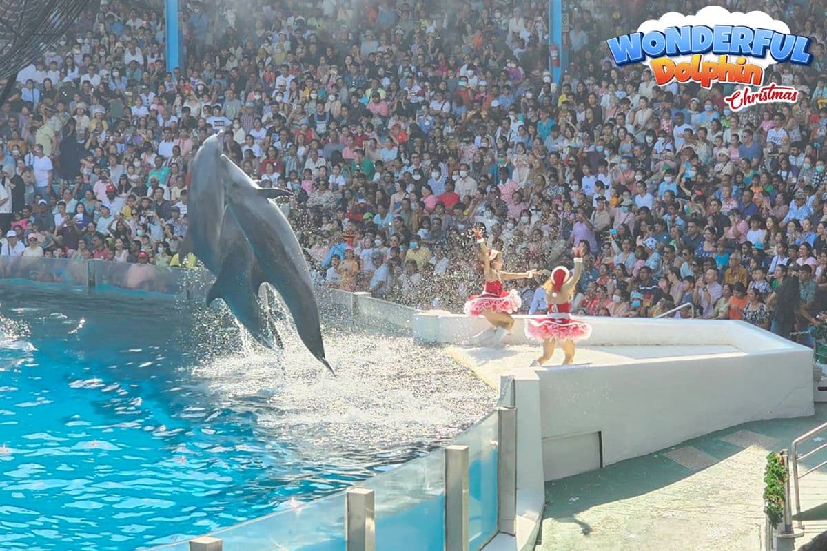 Safari World Bangkok プライベート送迎付き (MBK Centerでの特別特典付き)
