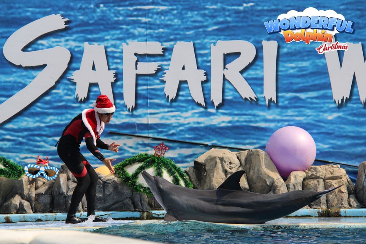 Safari World Bangkok con trasferimento privato incluso (ottieni privilegi speciali al MBK Center)