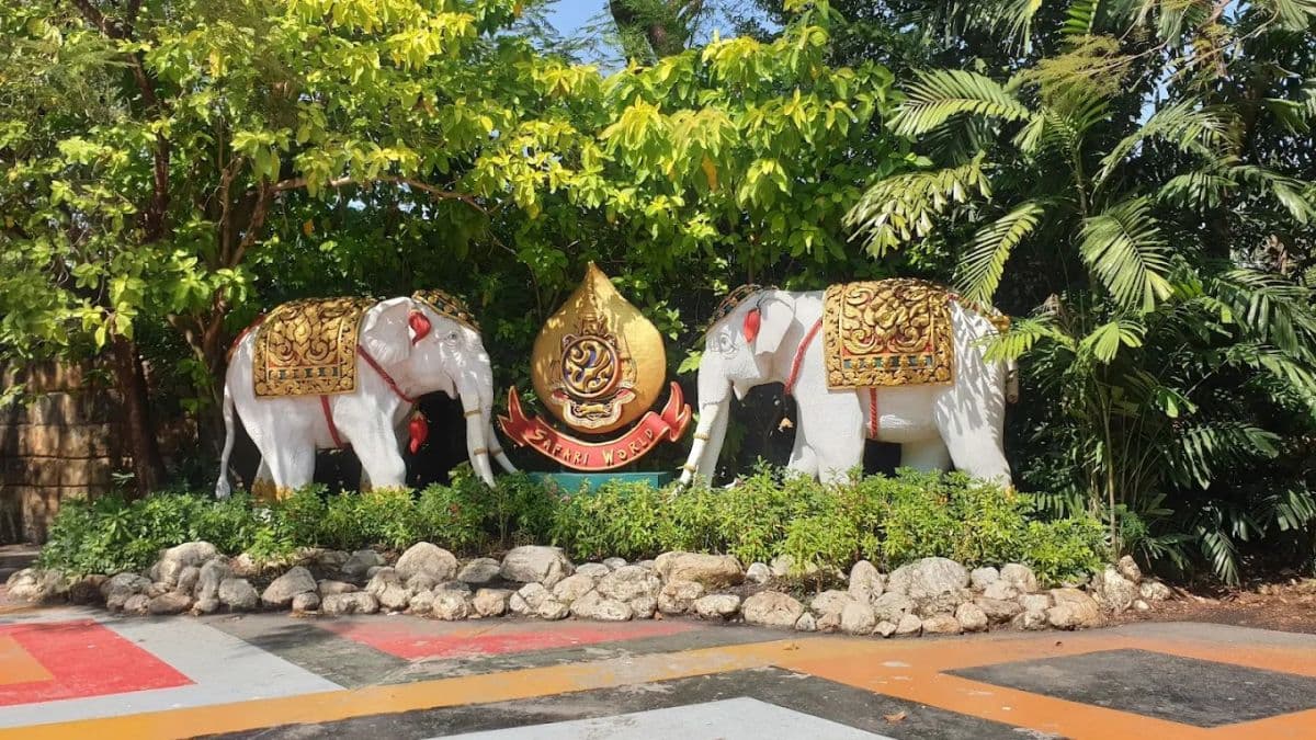 Safari World Bangkok Include Share Transfers Service Tour Meet-up location MBK Center, Asoke (Get Special Privileges at MBK Center)