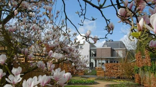 Vincent van Gogh House: Bilet wstępu + wycieczki z audioprzewodnikiem