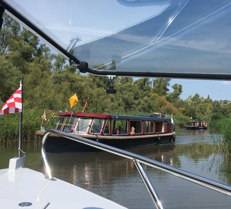 Werkendam: Boat Cruise and Biesbosch Museum Entry Ticket