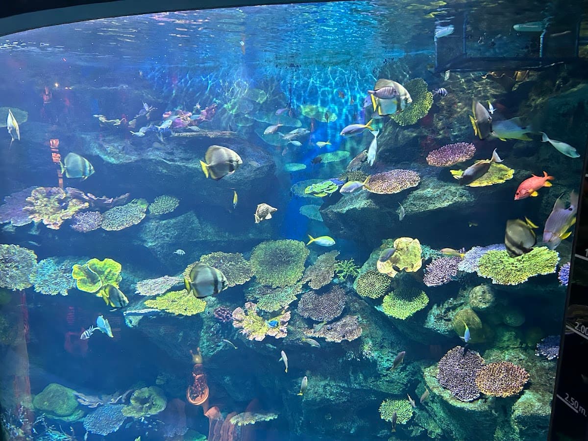SeaLife Bangkok