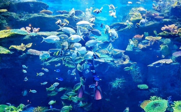 SeaLife Bangkok