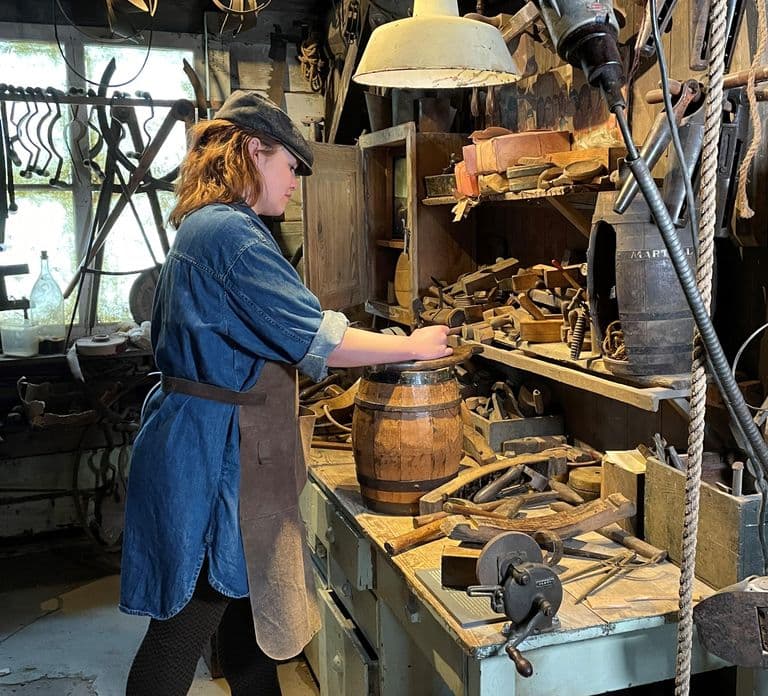 Zaanse Schans : Billet d'entrée pour les moulins et musées avec audioguide