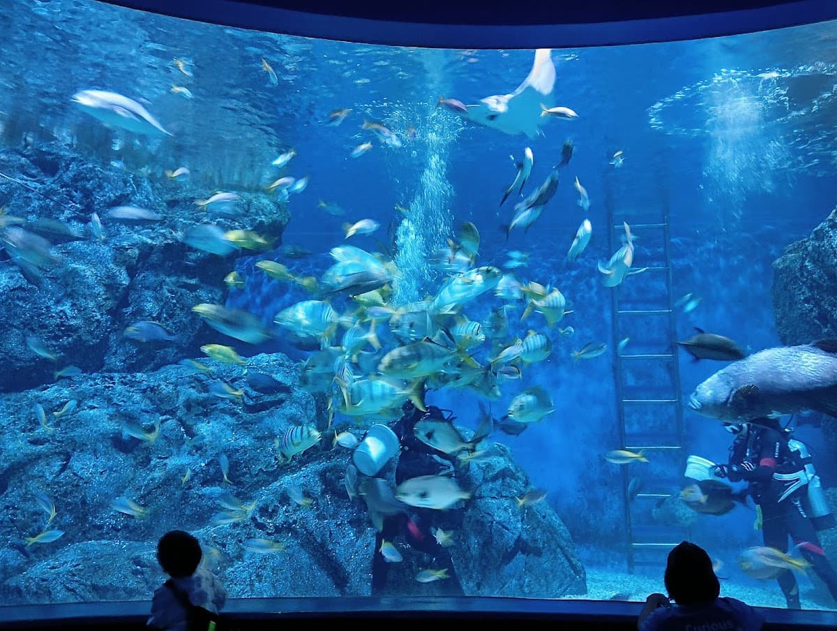 SeaLife Bangkok (Group Rate)