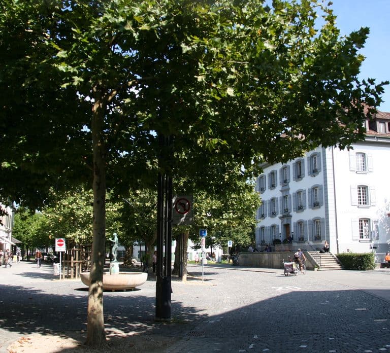 Aarau: Private Stadtführung mit einem einheimischen Guide