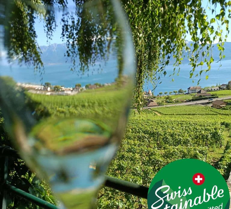 Wine tour in the canton of Vaud - Lavaux vineyards