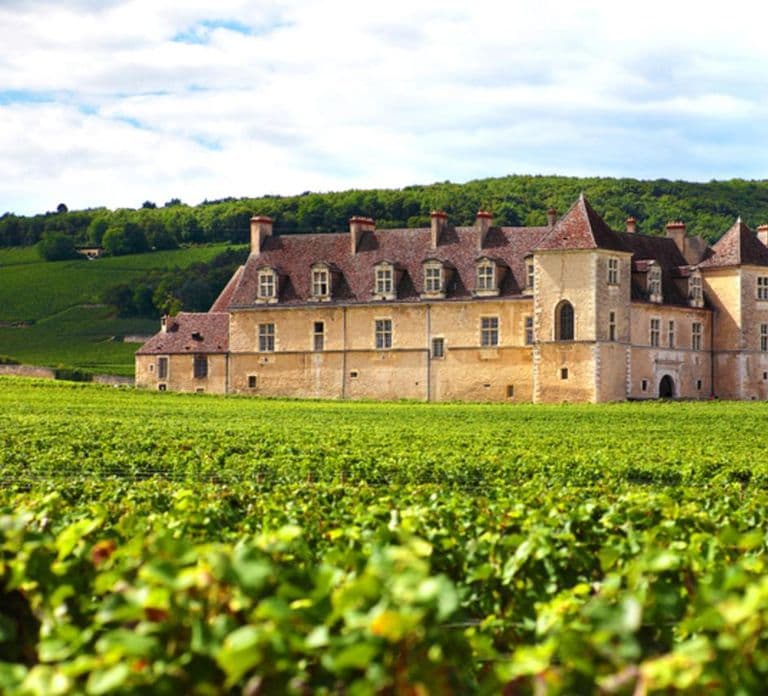 Wijntour in het kanton Vaud - Lavaux wijngaarden