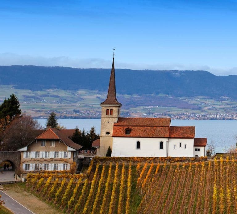Wijntour in het kanton Vaud - Lavaux wijngaarden