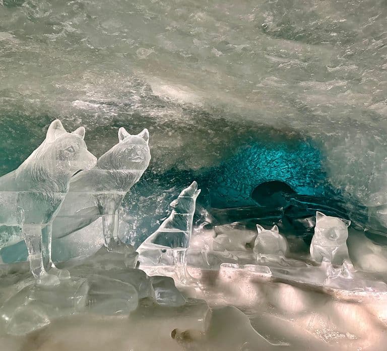 Tour privato di Zermatt e Glacier Paradise | Da Interlaken