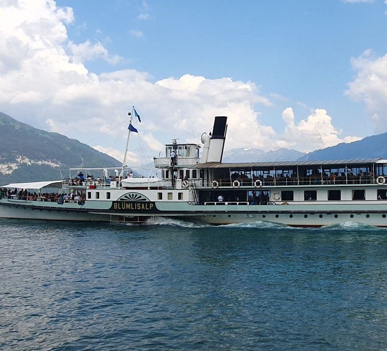Attraction Ticket: Day Pass for Lake Thun&Brienz Boat Cruise