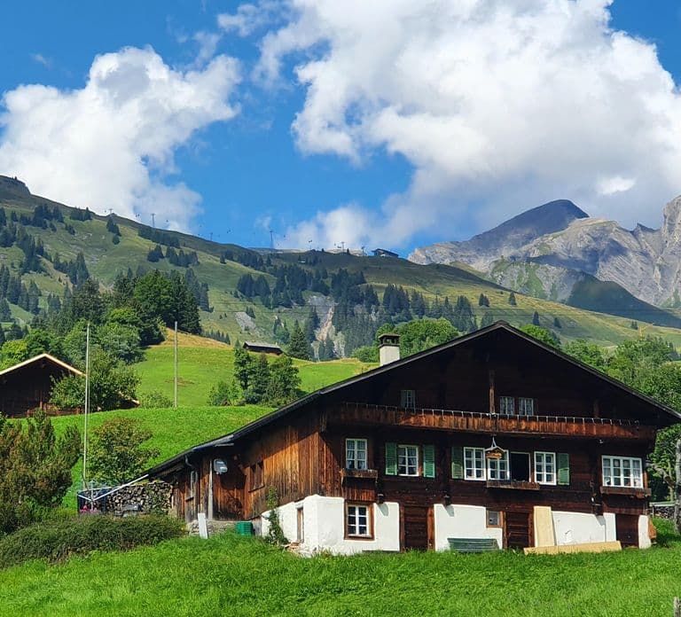 Attraction Ticket: Grindelwald First Cableway & Cliff Walk