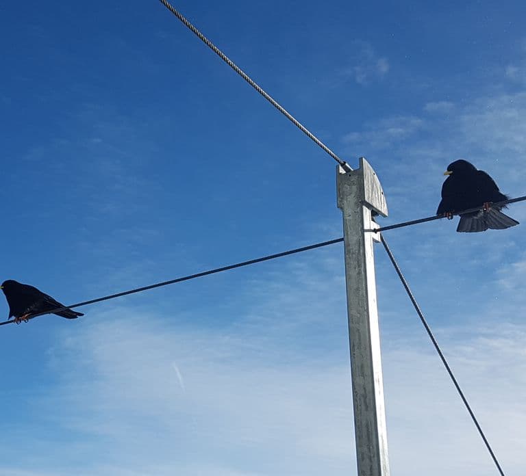 Attraction Ticket: Jungfraujoch self-guided day trip