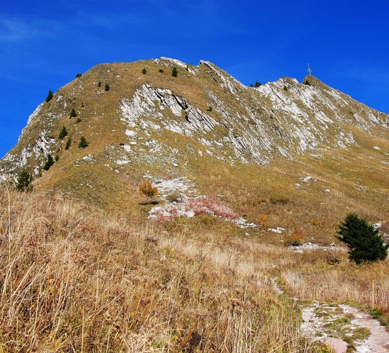 Attraction Ticket: Montreux to Rochers-de-Naye