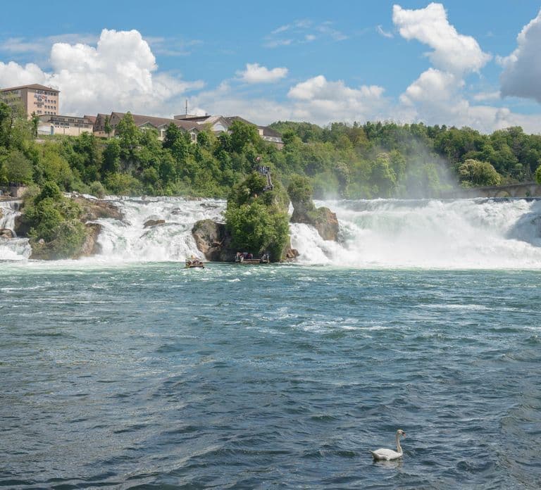 Zúrich: Excursión de un día a las cataratas del Rin, fábrica de chocolate y queso