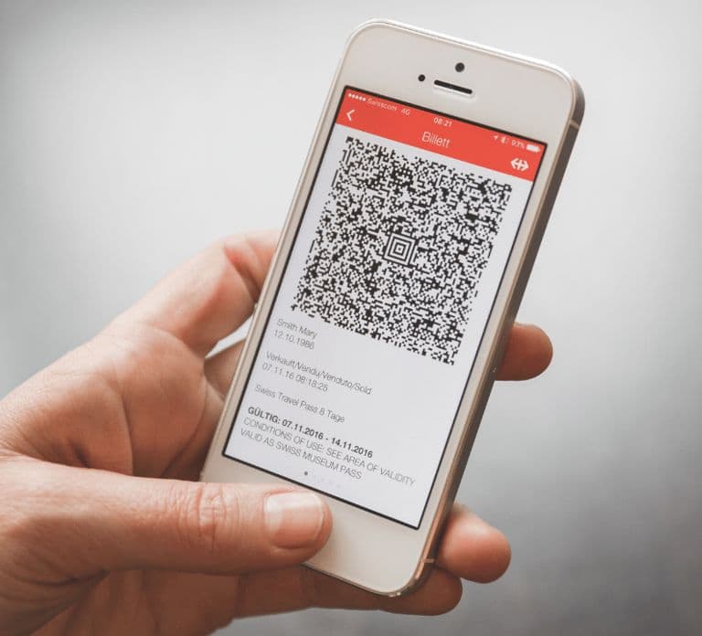 Berner Oberland: Swiss Half Fare & STS Holder 2nd Class Pass