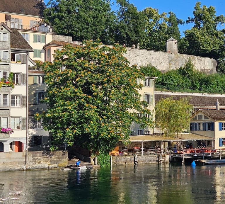 City tour historic old town Zurich