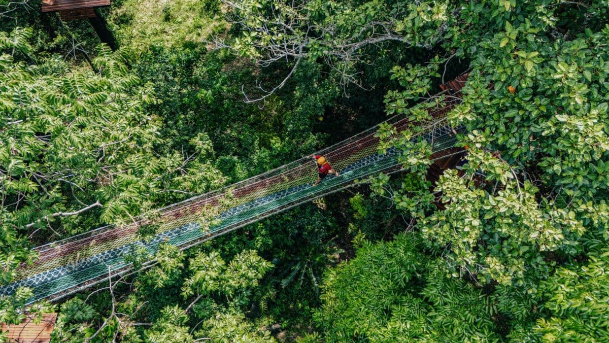 Skyrock Jungle Adventure in Khaolak
