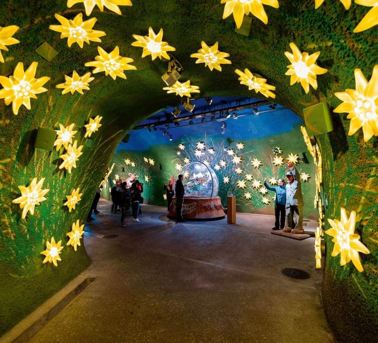 From Geneva: Jungfrau and Interlaken Small Group Tour