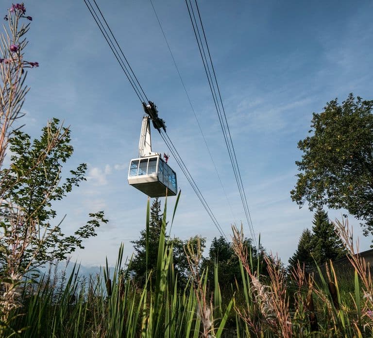 Depuis Lucerne : excursion d'une journée au mont Rigi avec croisière et téléphérique