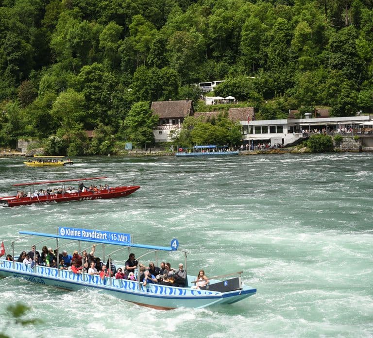 From Zurich to The Rhine Falls