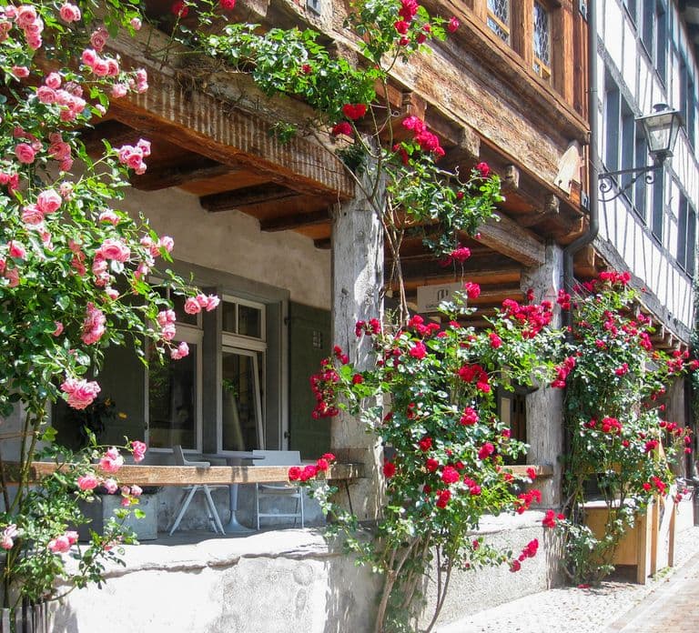 From Zurich: Bus Day Trip to Heidiland and Liechtenstein