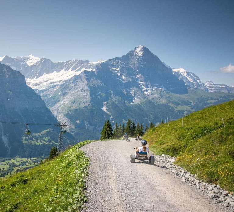 From Zurich: Grindelwald First Cable Car & Interlaken